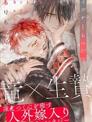 八犬传漫画单行本封面合集